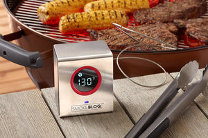 Digital Meat Thermometer Probe - Wireless Meat Probe – SmokeBloq